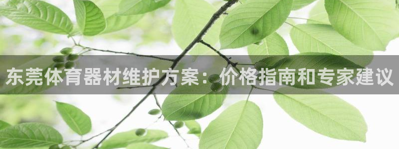 尊龙凯时平台有没有不到账的：东莞体育器材维护方案：价