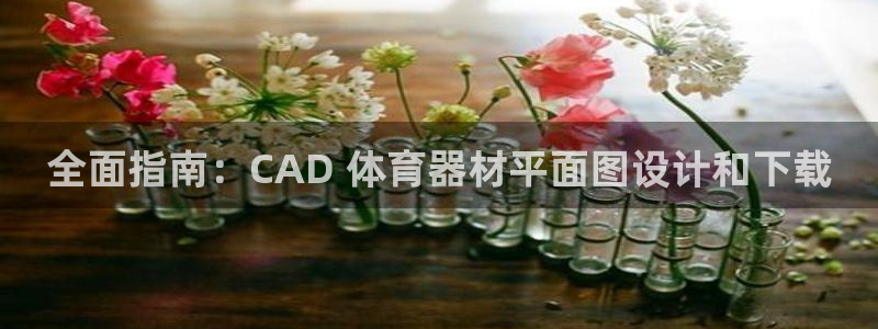 尊龙凯时存款不上分：全面指南：CAD 体育器材平面图